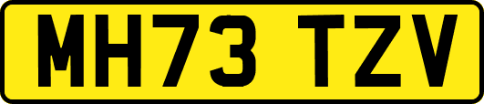 MH73TZV