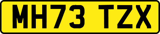 MH73TZX
