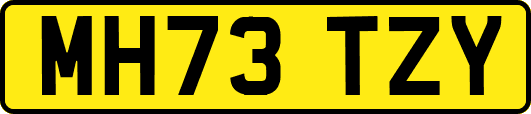 MH73TZY