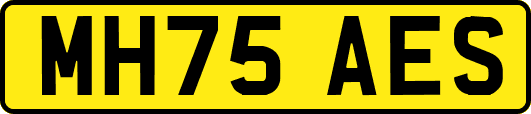 MH75AES