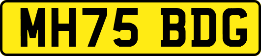 MH75BDG