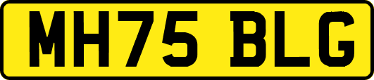 MH75BLG