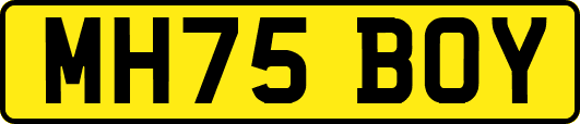 MH75BOY