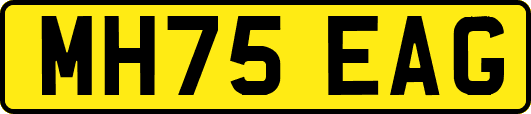 MH75EAG