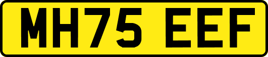MH75EEF