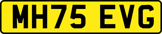 MH75EVG