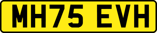 MH75EVH