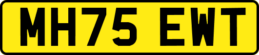 MH75EWT