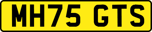 MH75GTS