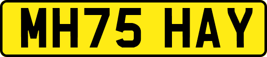 MH75HAY