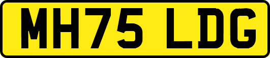 MH75LDG