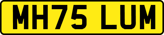 MH75LUM