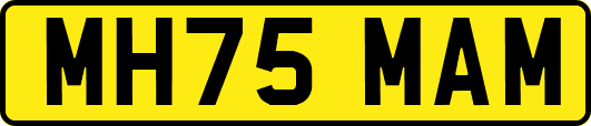 MH75MAM