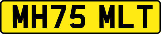 MH75MLT