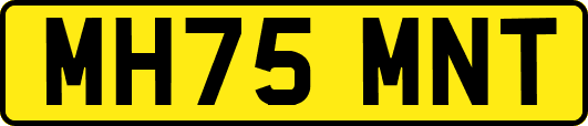 MH75MNT