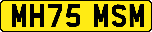 MH75MSM