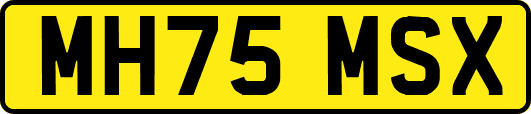 MH75MSX