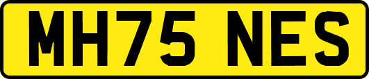 MH75NES