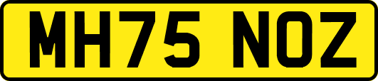MH75NOZ
