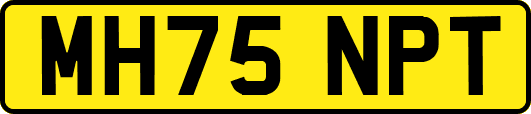 MH75NPT