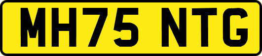 MH75NTG