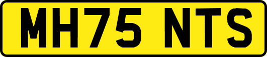MH75NTS