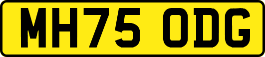 MH75ODG