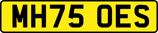 MH75OES