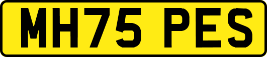 MH75PES