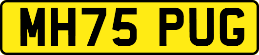 MH75PUG