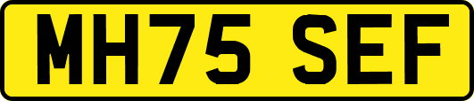 MH75SEF