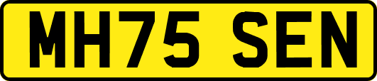 MH75SEN