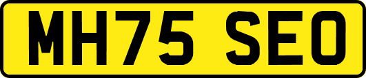 MH75SEO