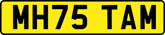 MH75TAM