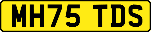 MH75TDS