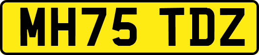 MH75TDZ