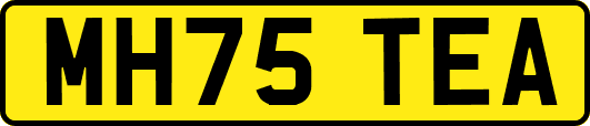 MH75TEA