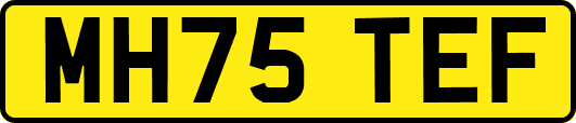 MH75TEF