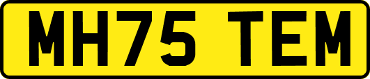 MH75TEM