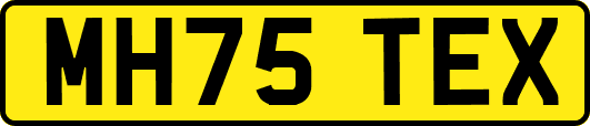 MH75TEX