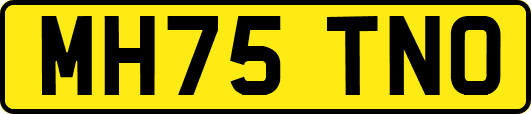 MH75TNO