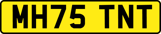 MH75TNT