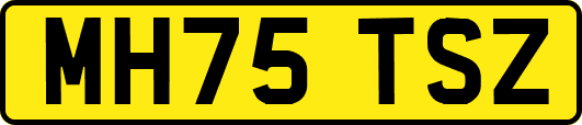 MH75TSZ