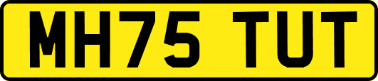 MH75TUT