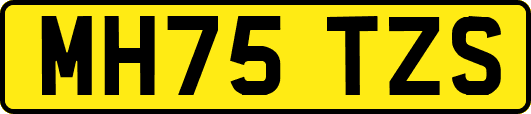 MH75TZS