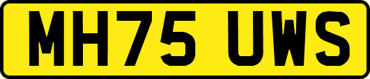 MH75UWS