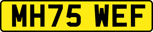 MH75WEF