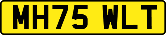 MH75WLT