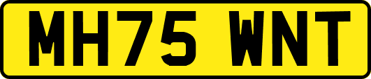 MH75WNT