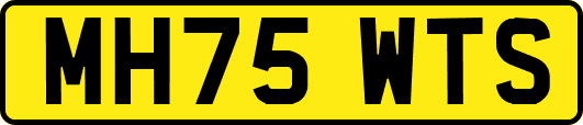 MH75WTS